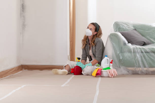 Reliable Black Mold Remediation contractor in Fulton, IL by Car Mold Remediation